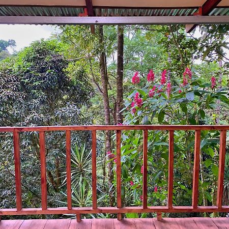 Princesa De La Luna Ecolodge La Fortuna Екстериор снимка