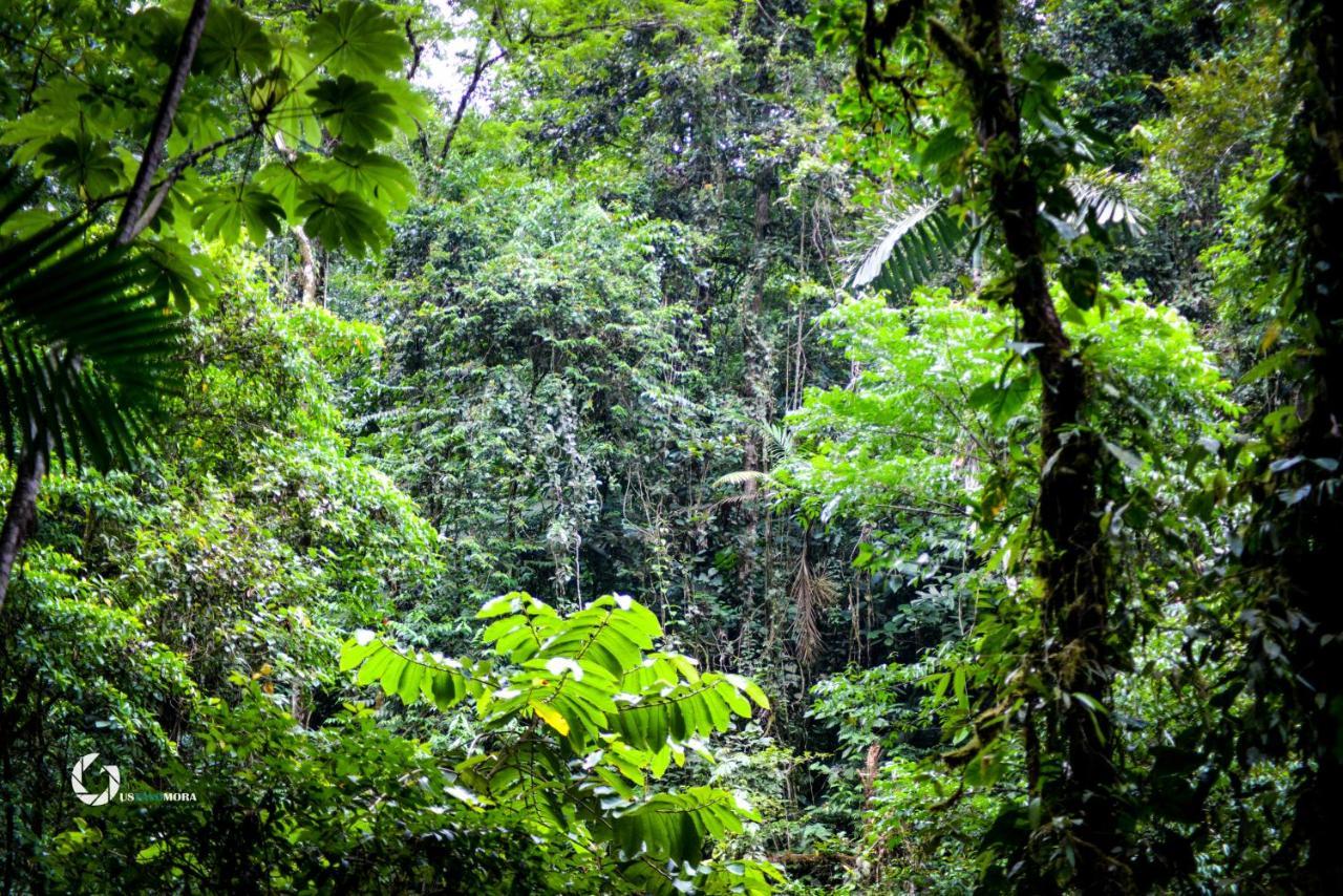 Princesa De La Luna Ecolodge La Fortuna Екстериор снимка