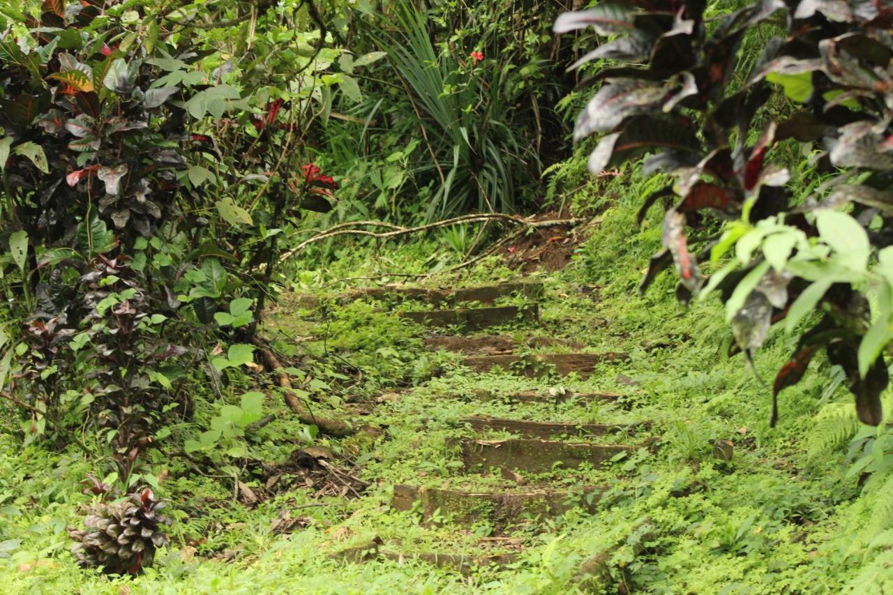 Princesa De La Luna Ecolodge La Fortuna Екстериор снимка