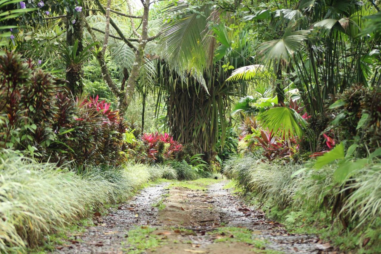 Princesa De La Luna Ecolodge La Fortuna Екстериор снимка