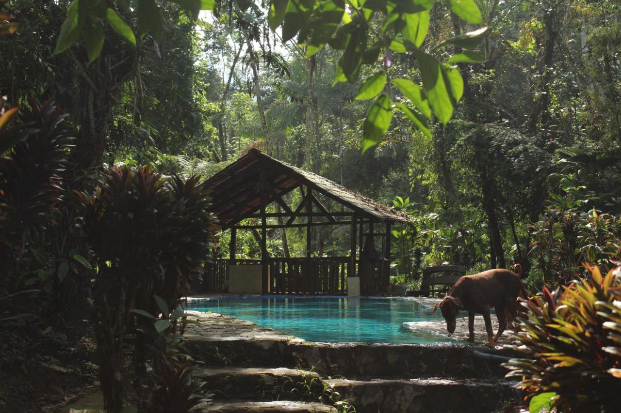 Princesa De La Luna Ecolodge La Fortuna Екстериор снимка