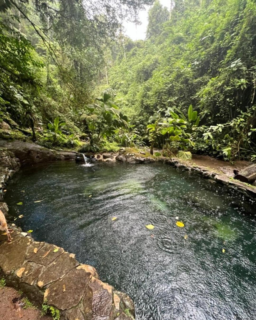Princesa De La Luna Ecolodge La Fortuna Екстериор снимка
