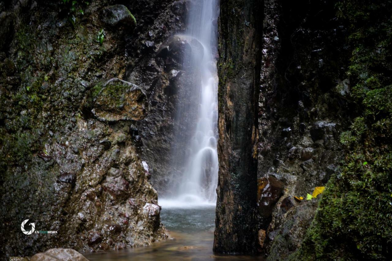 Princesa De La Luna Ecolodge La Fortuna Екстериор снимка