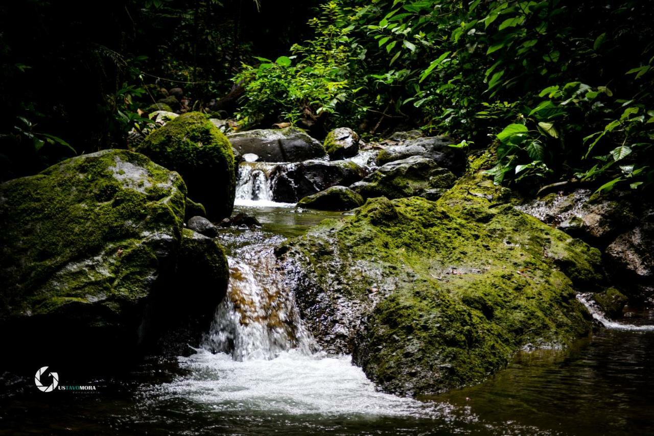 Princesa De La Luna Ecolodge La Fortuna Екстериор снимка