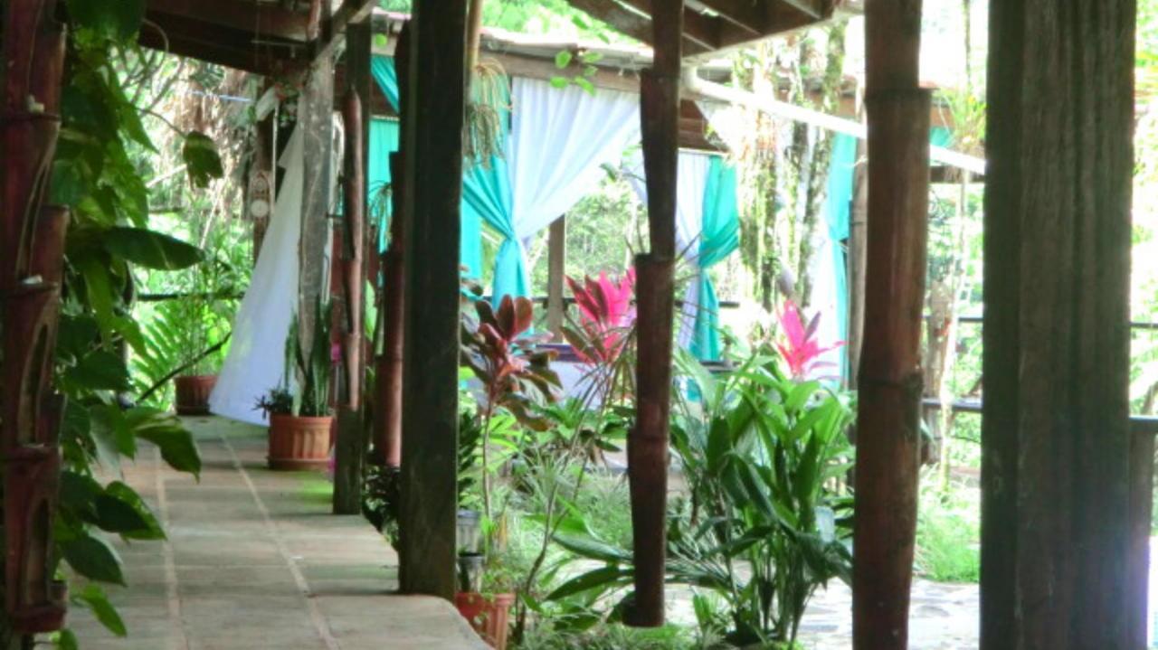 Princesa De La Luna Ecolodge La Fortuna Екстериор снимка